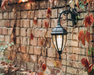 This image for Image Layouts addon