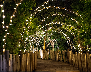 This image for Image Layouts addon